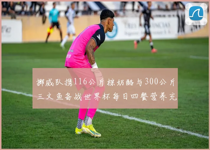 挪威队携116公斤棕奶酪与300公斤三文鱼备战世界杯每日四餐营养充足