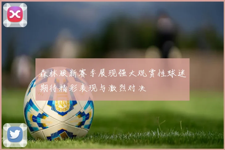 森林狼新赛季展现强大观赏性球迷期待精彩表现与激烈对决